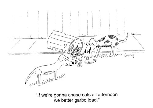 "If we're gonna chase cats all afternoon we better garbo load"