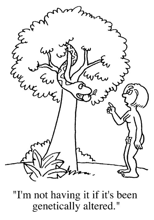"I'm not having it if it's been genetically modified."