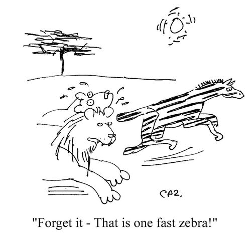 'Forget it - that is one fast zebra!'