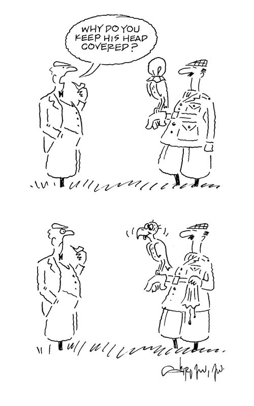 'Why do you keep his head covered?' (Ugly bird).