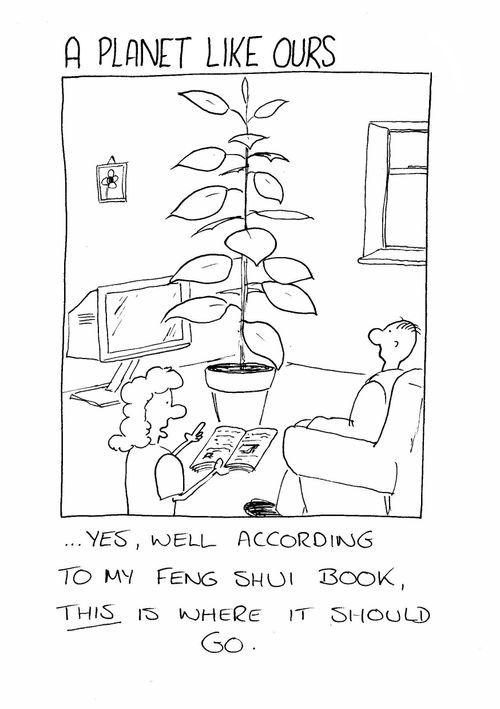 '...yes, well according to my feng shui book, this is where it should go.'