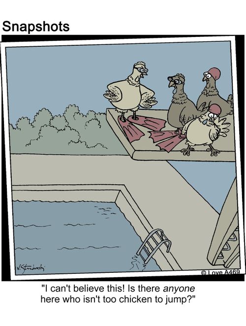 'I can't believe this!  Is there anyone here who isn't too chicken to jump?'