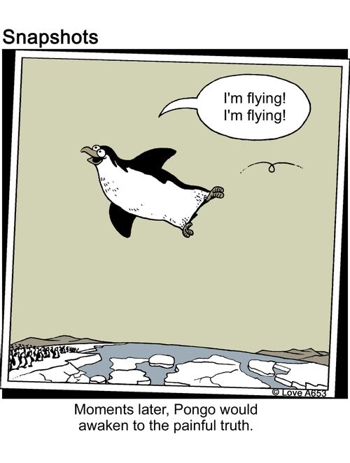 Moments later, Pongo would awaken to the painful truth.