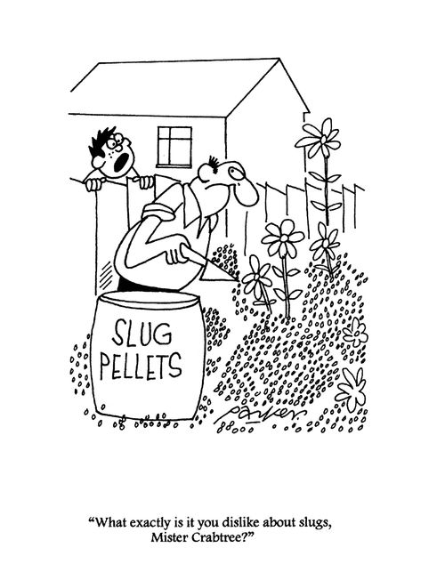 'What exactly is it you dislike about slugs, Mister Crabtree?'