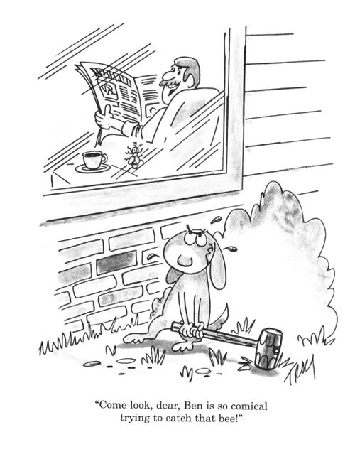 'Come look dear, Ben is so comical trying to catch that bee!'