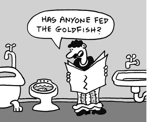 "Has anyone fed the goldfish?"
