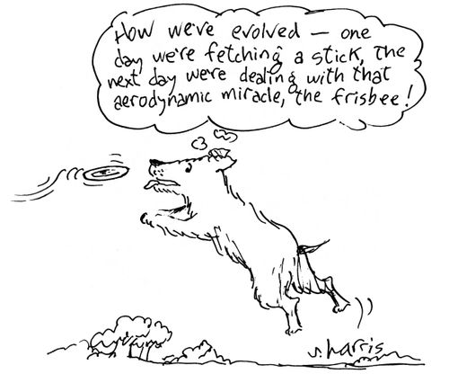How we've evolved...one day we're fetching a stick, the next day we're dealing with that aerodynamic miracle, the frisbee!
