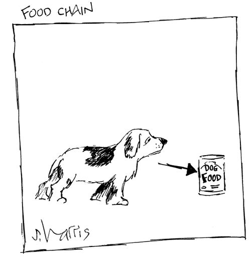 Food Chain