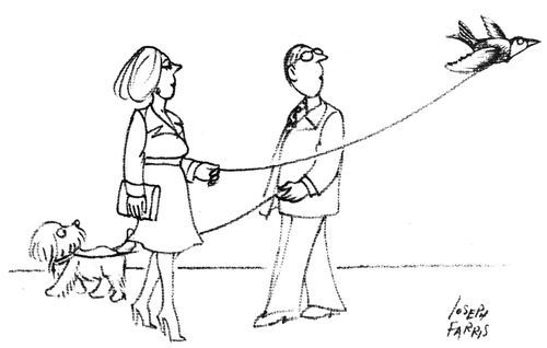 Man Walking A Dog/Woman Walking a Bird.