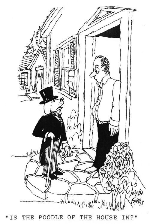 'Is the poodle of the house in?'