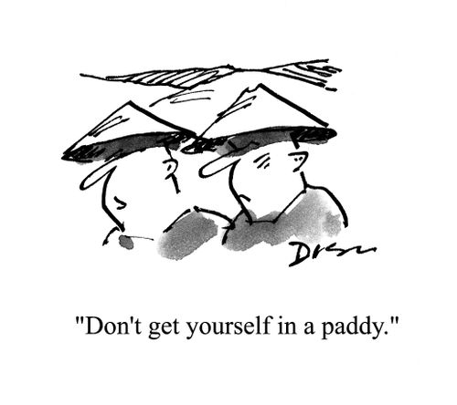 'Don't get yourself in a paddy.'