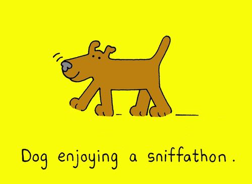 Dog enjoying a sniffathon.