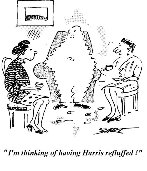 "I'm thinking of having Harris refluffed!"