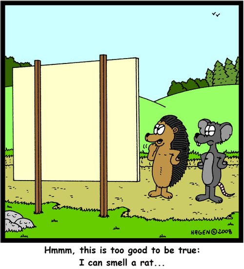 'Hmmm, this is too good to be true: I can smell a rat...'