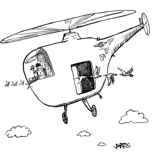 Helicopter attacked by birds.