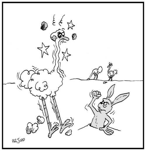 Ostrich with a black eye. Rabbit shaking his fist at the ostrich.