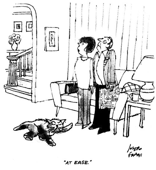 'At ease.'