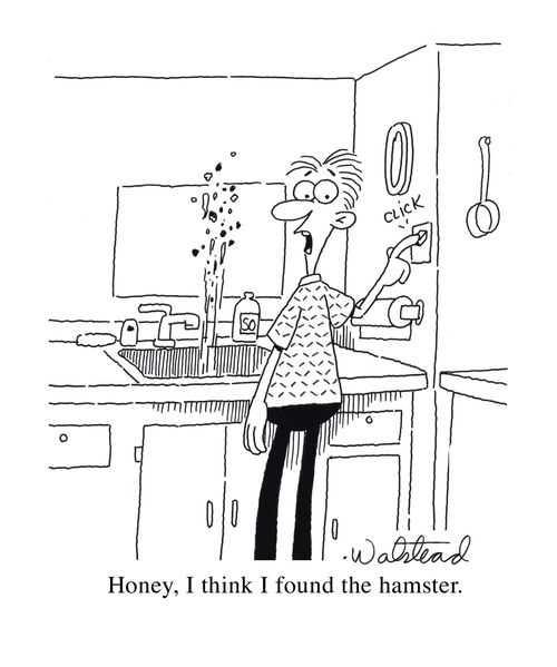 "Honey, I think I found the hamster."