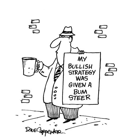 My bullish strategy was given a bum steer.