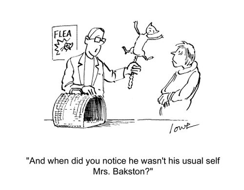 'And when did you notice he wasn't his usual self Mrs. Bakston?'