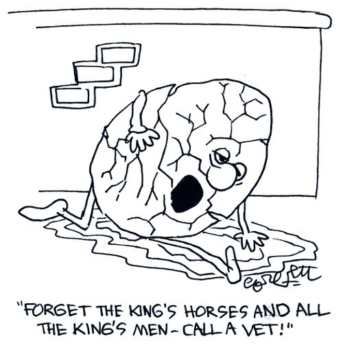 'Forget the king's horses and all the king's men - call a vet!'