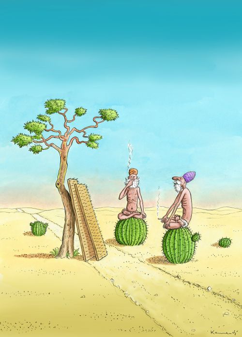 Cactus seats.