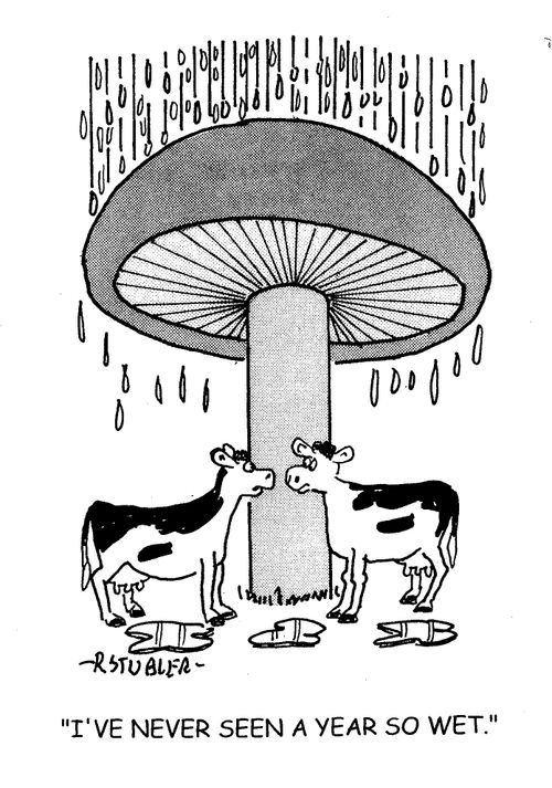 'I've never seen a year so wet.'
