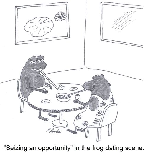 'Seizing an opportunity' in the frog dating scene,