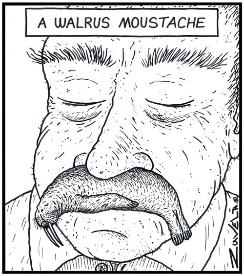 A Walrus moustache.
