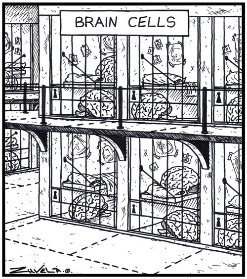 Brain Cells.