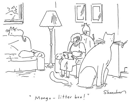 'Mongo - litter box!'