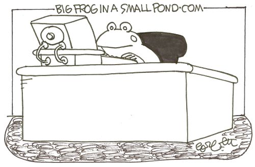 Big frog in a small pond.com