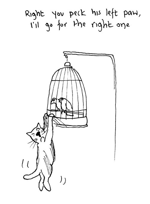 'Right, you peck his left paw, I'll go for the right one.'