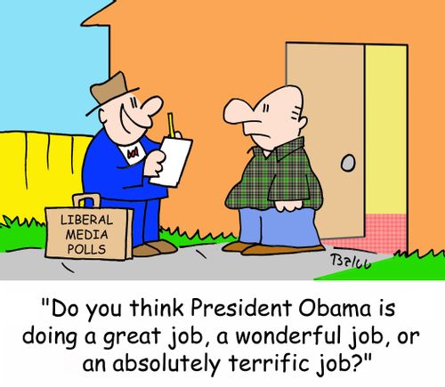 LIBERAL MEDIA POLLS, 'Do you think President Obama is doing a great job, a wonderful job, or an absolutely terrific job?'
