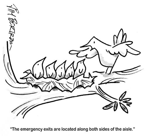 'The emergency exists are located along both sides of he aisle.'