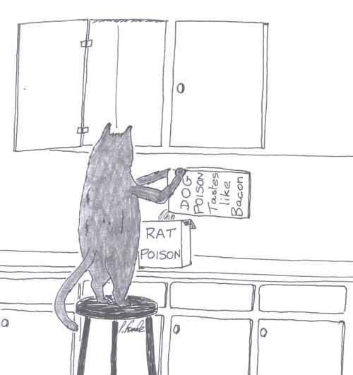 Cat putting dog poison into rat poison box.