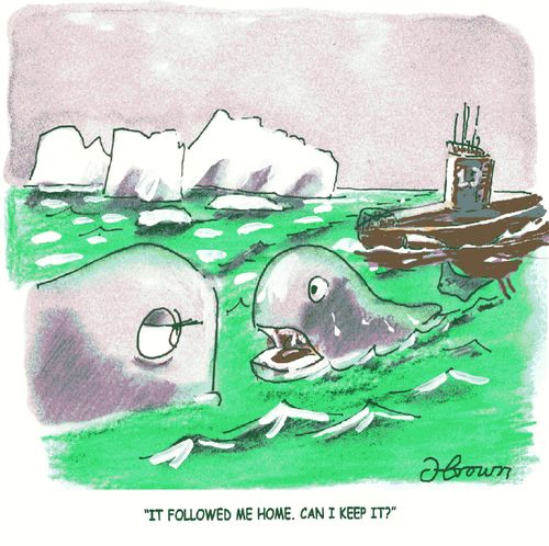 'It followed me home, can I keep it?'