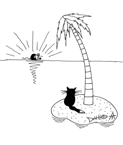 Cat on a desert island sees the sunrise as an unreachable mouse.
