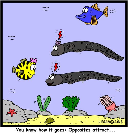 'You know how it goes: Opposites attract...'