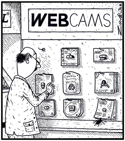 A Spider checking out Webcams.