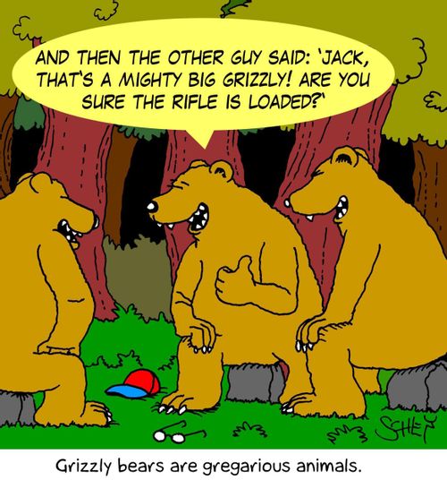 Grizzly bears are gregarious animals.