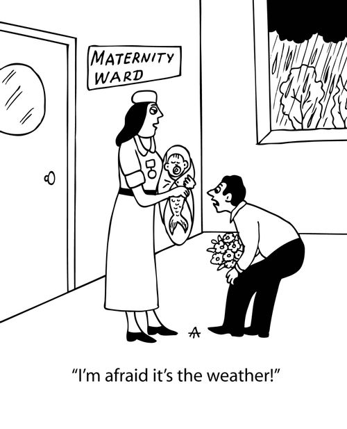 'I'm afraid it's the weather!'