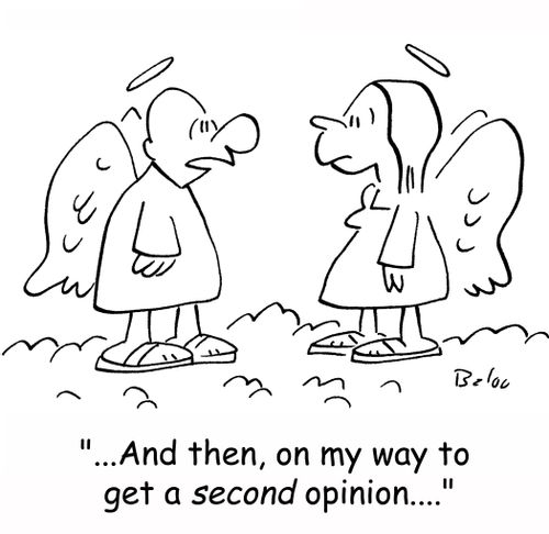 '...And then, on my way to get a second opinion....'