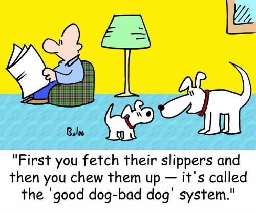 'First you fetch their slippers and then you chew them up -- it's called the 'good dog-bad dog' system.'