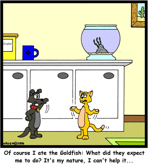 'Of course I ate the Goldfish: What did they expect me to do? It's my nature, I can't help it...'