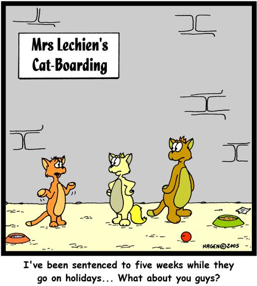 'I've been sentenced to five weeks while they go on holidays... What about you guys?'