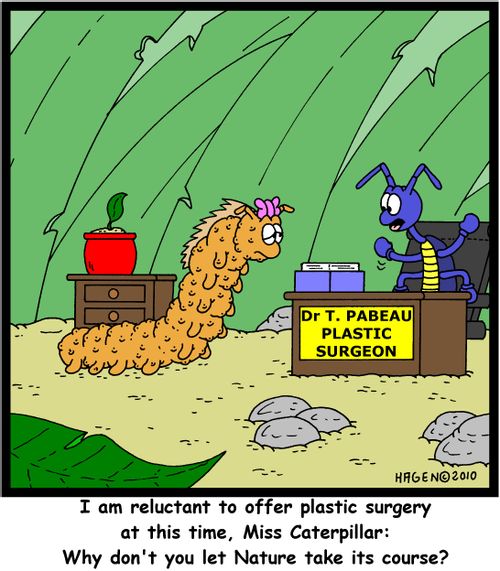 'I am reluctant to offer plastic surgery at this time, Miss Caterpillar: Why don't you let Nature take its course?'