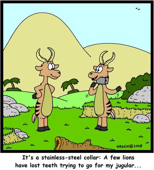'It's a stainless-steel collar: A few lions have lost teeth trying to go for my jugular...'