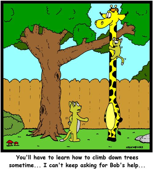 You'll have to learn how to climb down tress sometime... I can't keep asking for Bob's help...