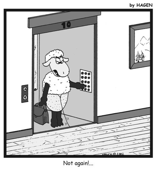 'Not again!...'